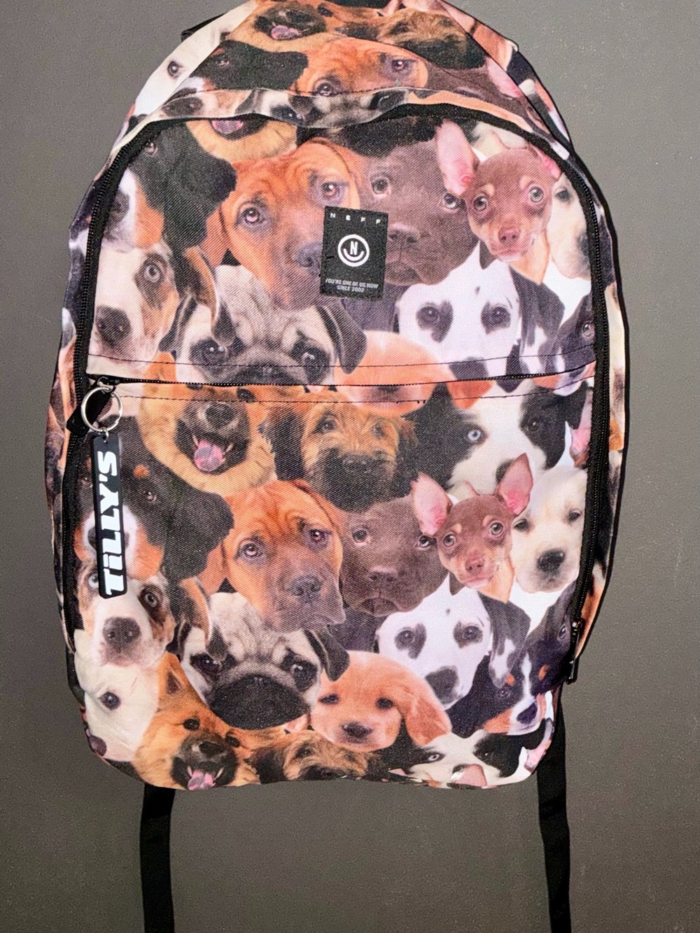 Tilly's Multidog Face Print Backpack